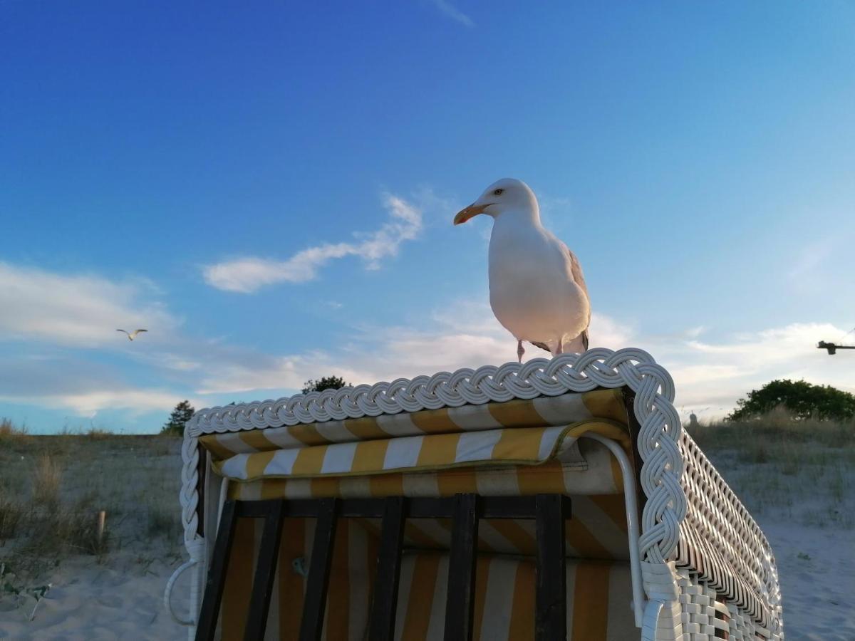 הרינגסדורף Ferienwohnung Strandburg מראה חיצוני תמונה